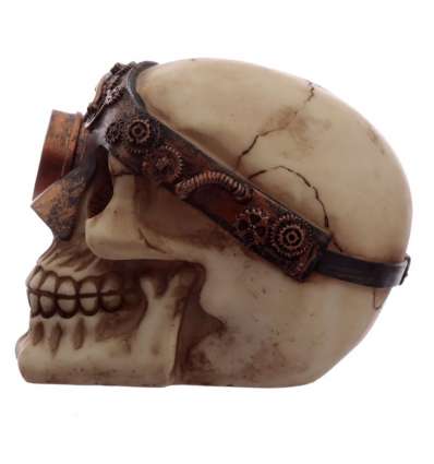 Calavera Steampunk Ojo