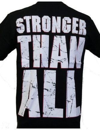 Camiseta PANTERA - Vulgar Display 2