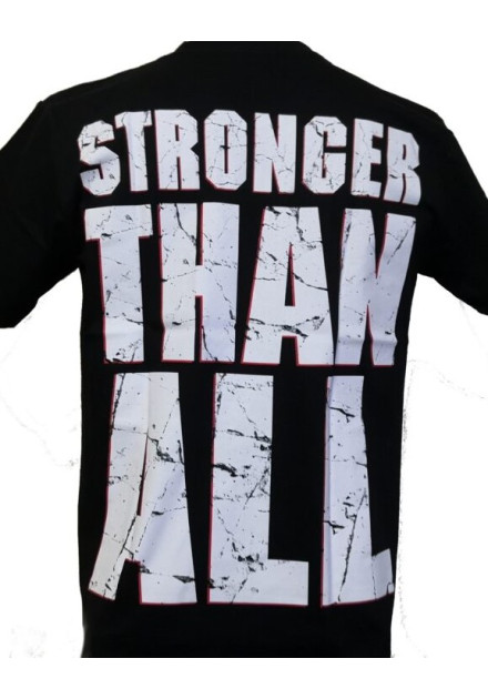 Camiseta PANTERA - Vulgar Display