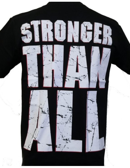 Camiseta PANTERA - Vulgar Display