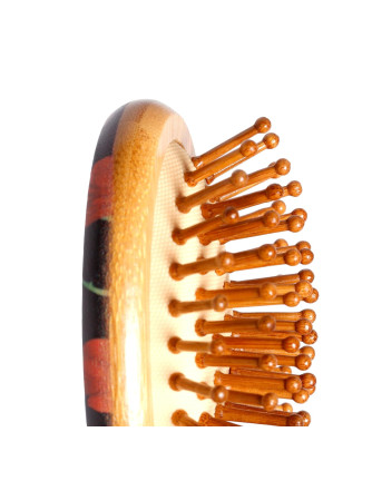 Cepillo para el Pelo Calaveras y Rosas 2