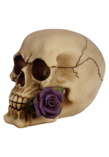 Calavera con Rosa Morada