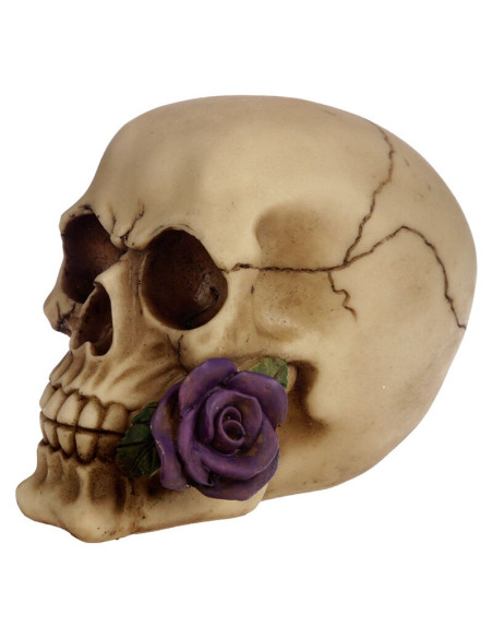 Calavera con Rosa Morada