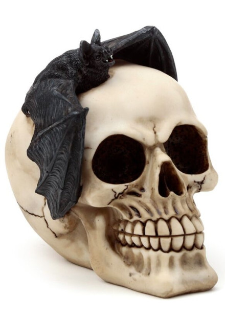 Calavera con Murciélago