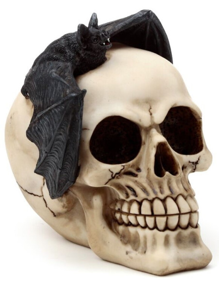 Calavera con Murciélago