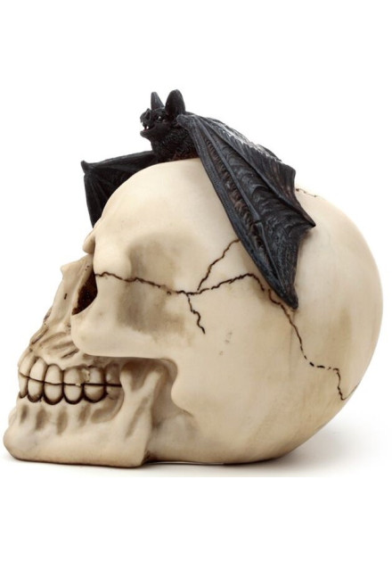 Calavera con Murciélago