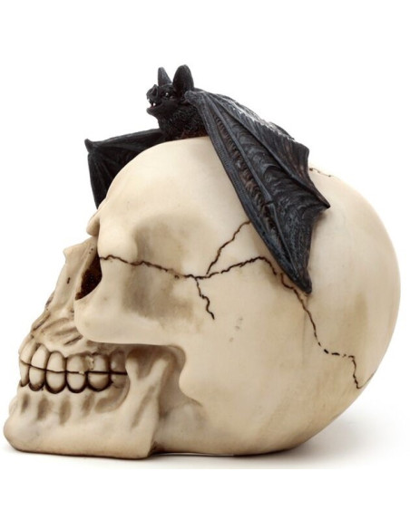 Calavera con Murciélago