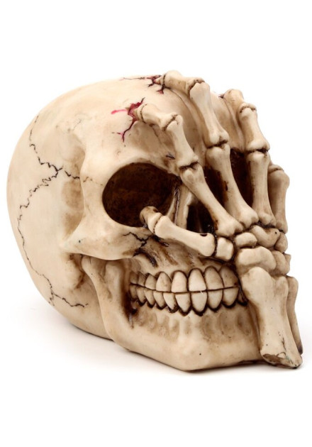 Calavera con Garra Esqueleto