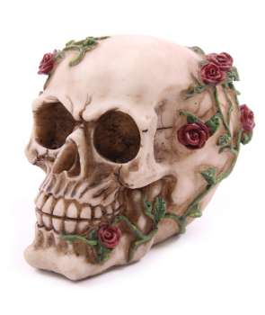 Calavera con Rosas