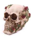 Calavera con Rosas