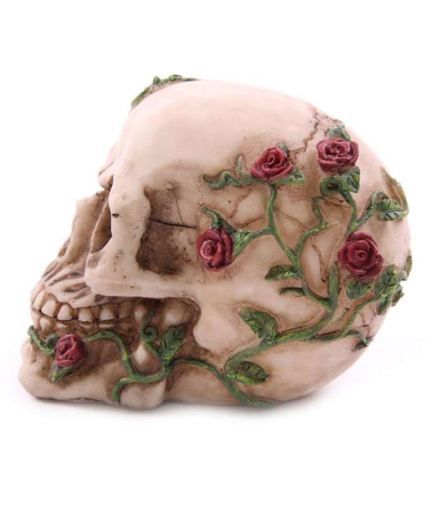 Calavera con Rosas