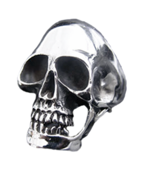 Anillo Calavera Completa Plata
